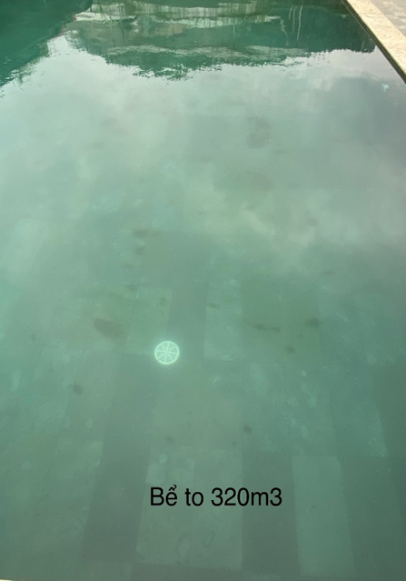 Bể trước / sau khi được xử lý bằng ClO2