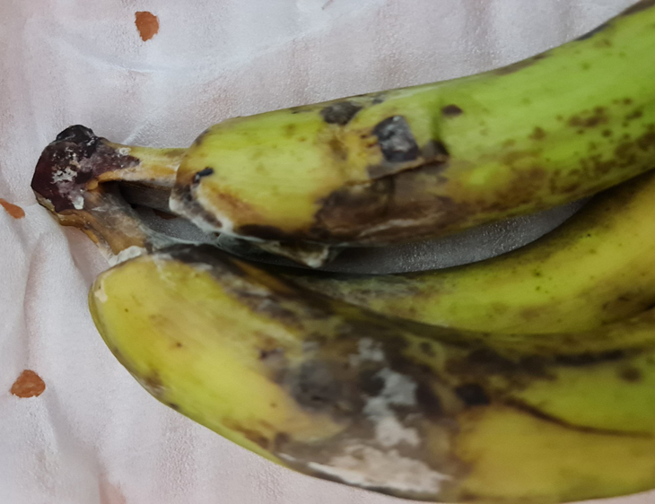 Mẫu Chuối được xử lý bằng ClO2